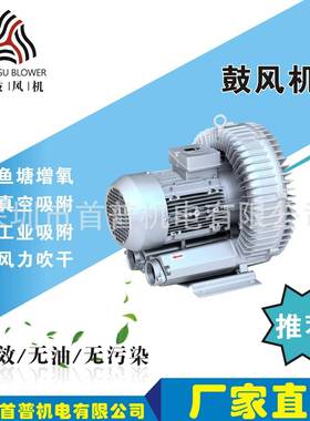 高压风机2SG210-7AA16,0.4KW旋涡气泵,真空泵，鼓风机