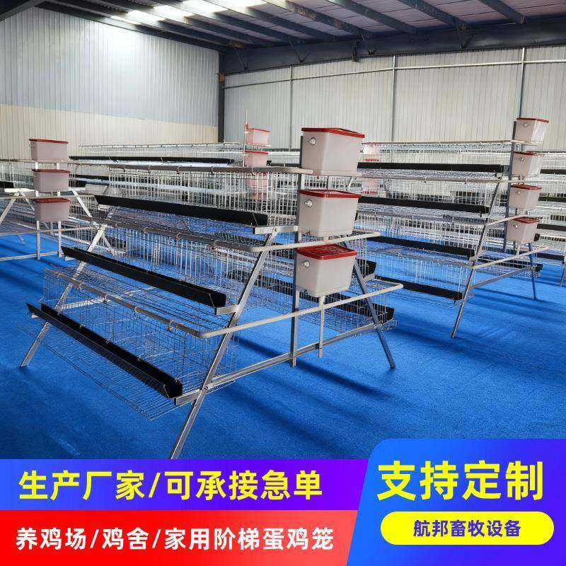 A型养殖鸡笼三层四门阶梯式热镀锌蛋鸡笼养殖场养鸡设备厂家,农机/农具/农膜,农用防护器具,淘宝优惠券,粉丝福利购,淘宝优惠卷