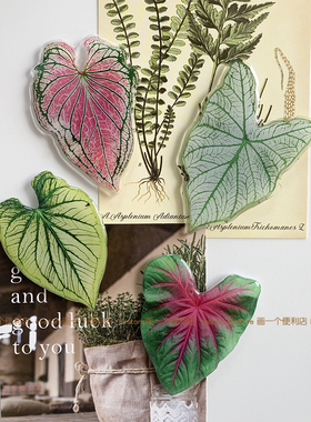 H-store 植物叶子冰箱贴磁贴磁力贴洞洞板入户门磁吸装饰