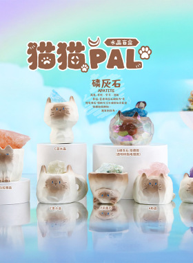 正版猫猫PAL水晶盲盒手办摆件