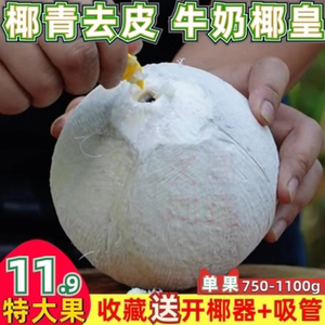 正宗海南椰子新鲜椰青牛奶椰皇煲老黑鸡汤孕妇水果汁水多整箱9个