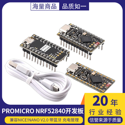 PromicroNRF52840开发板
