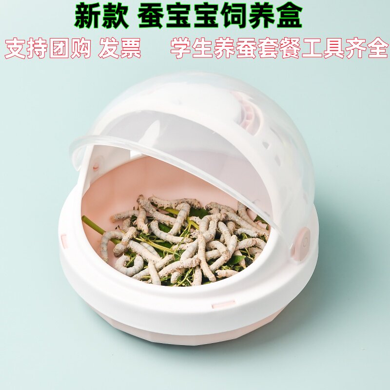 蚕宝宝专用太空舱学生饲养盒套装