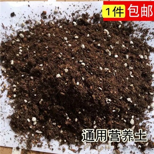 艾克家居自配有机进口椰糠土花草