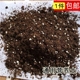 艾克家居 自配有机进口花草绿植多肉植物营养土 松软透气椰糠土