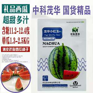 中科茂华茂华小红玉礼品西瓜种子小果型花皮红瓤甜红小玉西瓜种子