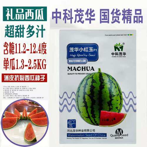 中科茂华茂华小红玉礼品西瓜种子小果型花皮红瓤甜红小玉西瓜种子