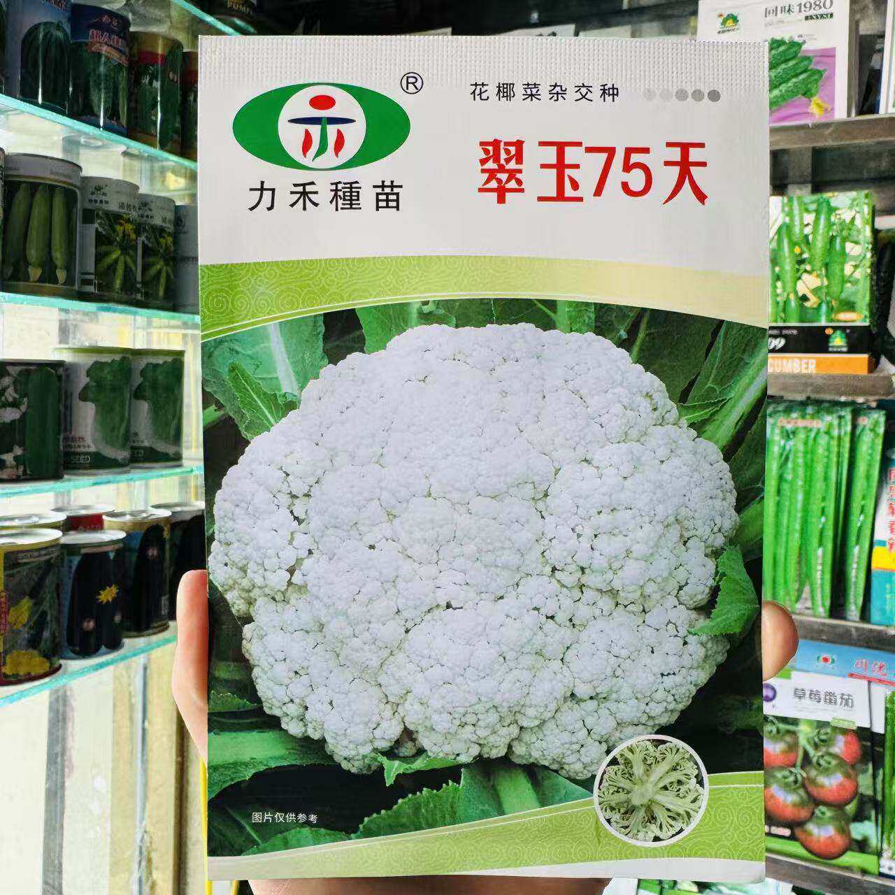 台湾力禾种苗翠玉65天青梗松花菜种子有机花菜花椰菜春秋季菜种籽