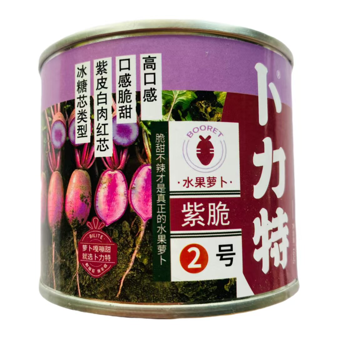 卜力特紫脆2号水果萝卜种子高产抗病耐热耐寒春秋播农家基地种子