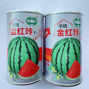 华抗金红玲F1西瓜种子早熟易坐果花皮瓤色大红肉质紧密耐低温弱光