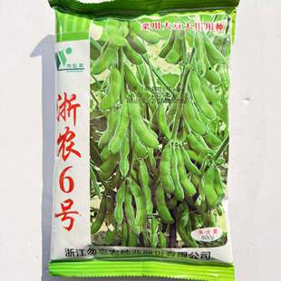 浙农6号毛豆种子春毛豆种子春大豆种子黄豆种子蔬菜种子原装正品