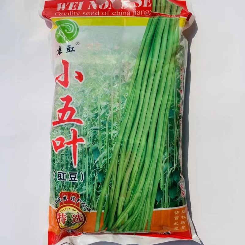 大包装豇豆种籽特长豇豆种子抗病高产南北方春夏秋三季播种籽