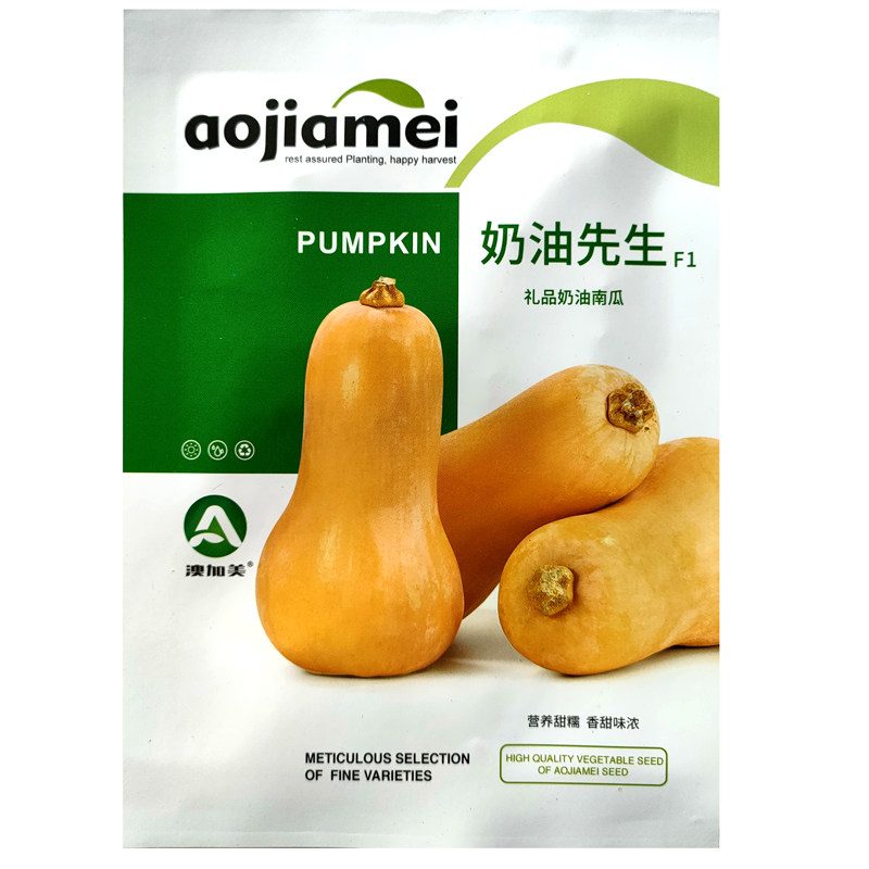 春夏季糯种奶油种子香甜细嫩孑种籽南瓜南瓜肉质粉瓜果小蔬菜