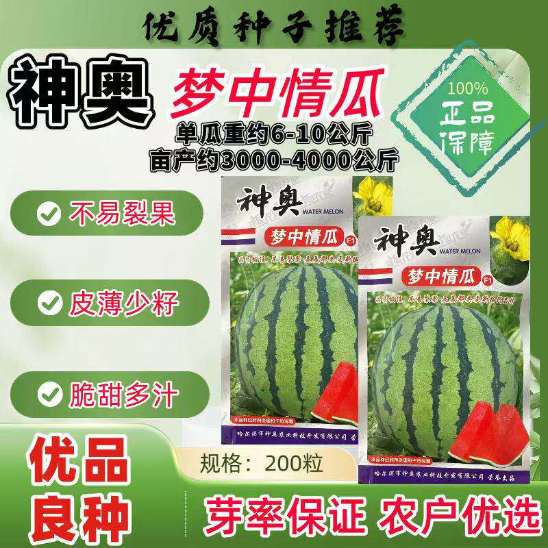 神奥梦中情瓜西瓜种子高产抗病耐裂耐储运红瓤西瓜籽农家大田春播