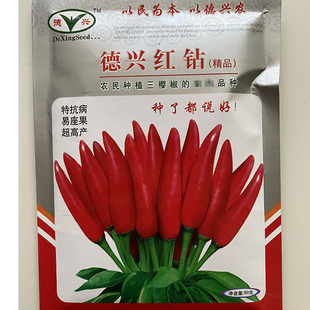 红种耐易座果钻蔬菜种籽辣椒朝天椒重茬种子超高产