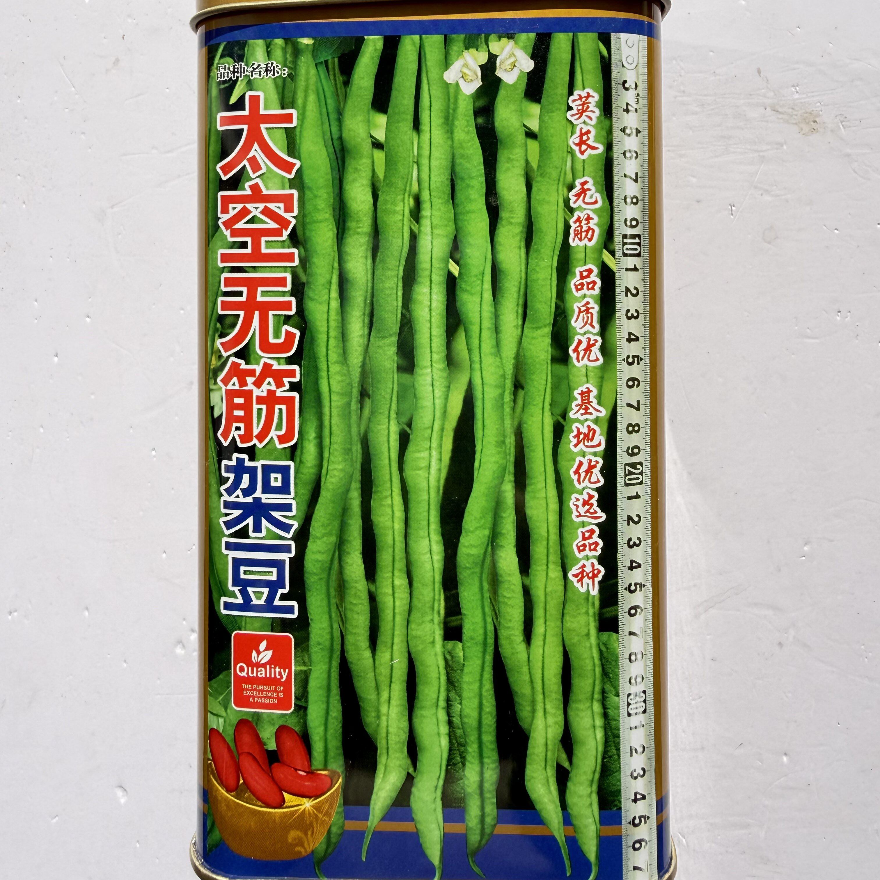 太空无筋架豆王豆角种子高产特长架豆种籽无丝豆角春季秋季菜种孑