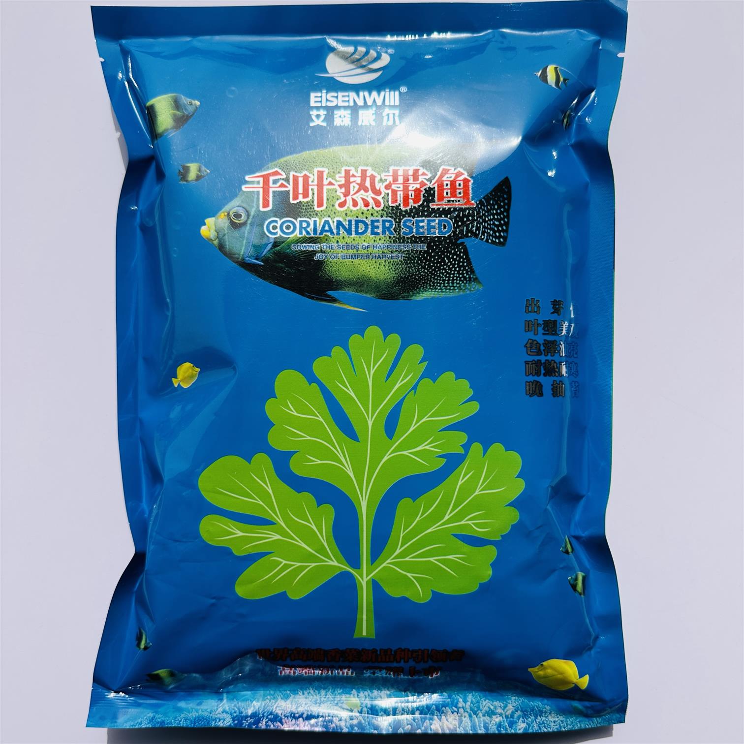 千叶热带鱼香菜高产油亮出芽快香菜种耐热耐寒热带鱼种子高产种籽