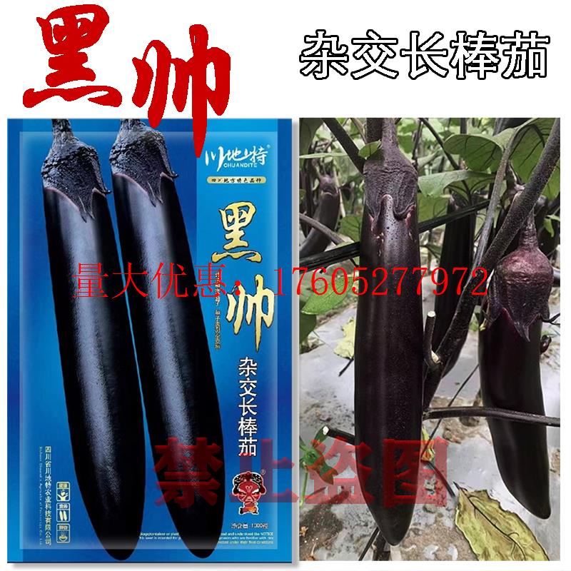 黑帅杂交长棒茄子种子早中熟高产抗病强耐贮运墨黑春秋播大田种孑