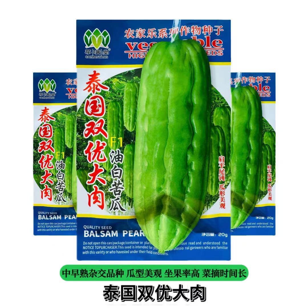 泰国双优大肉油绿苦瓜种子杂交种籽早熟抗病耐热耐寒高产蔬菜种子