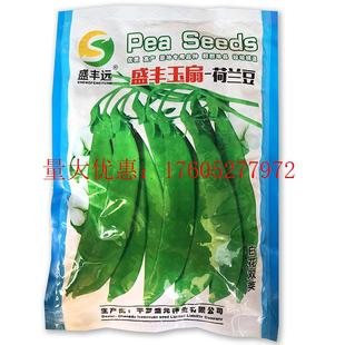 盛丰玉扇荷兰豆种子白花双荚大荚型早中熟半蔓生适广性强抗病种孑