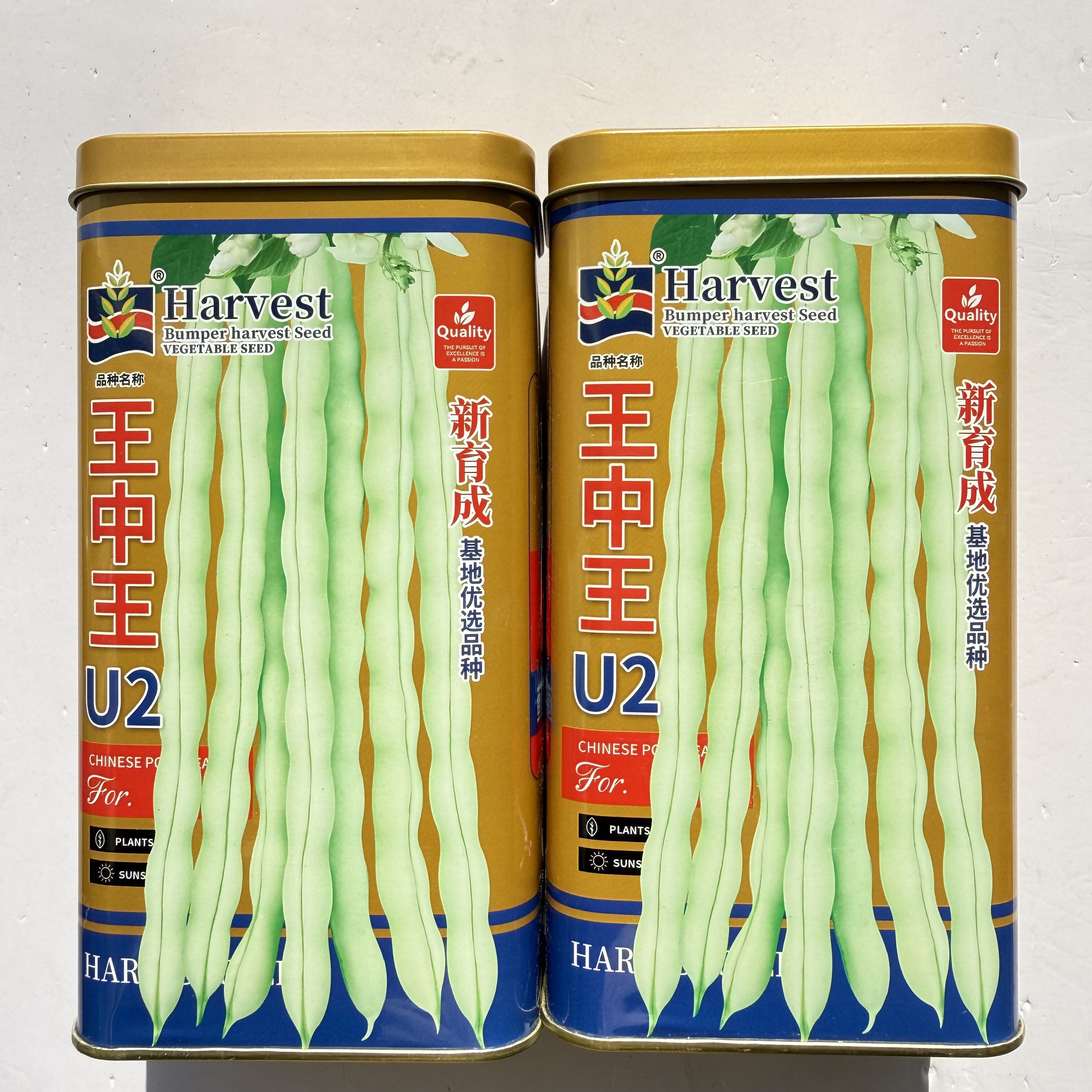 王中王U2架豆种子基地丰产豆角种籽无筋架豆王四季豆芸豆蔬菜种孑
