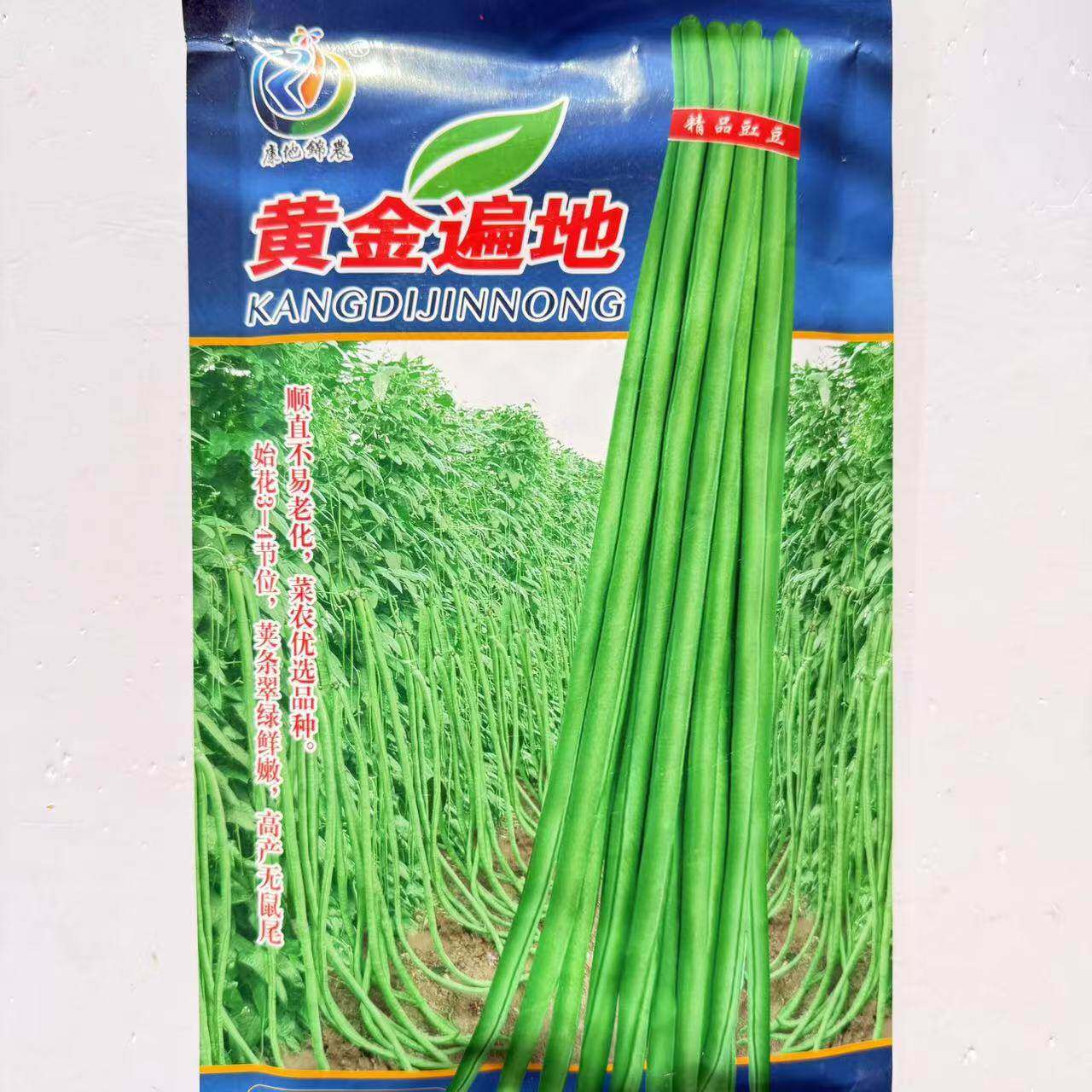 黄金遍地长豆角种子高品质蔬菜种顺直耐老化无鼠尾翠绿色豇豆种籽