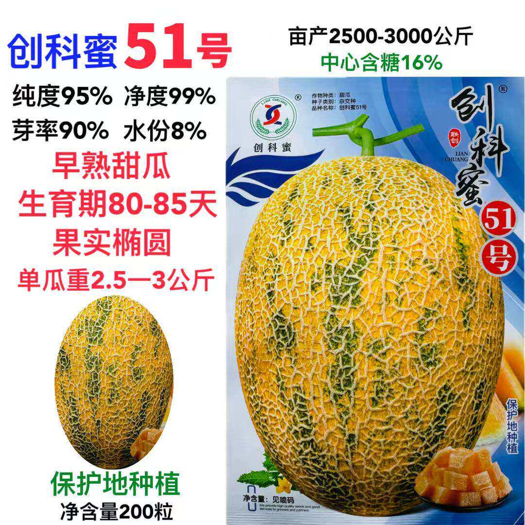 创科蜜51号甜瓜种子早熟椭圆形黄皮黄肉哈密瓜籽高产抗病商品性佳