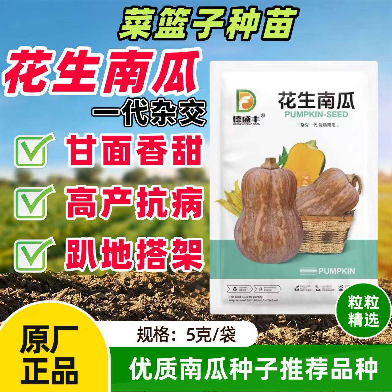 花生南瓜种子杂交一代早中熟肉厚味香甜粉较耐高温耐贮运大田种孑