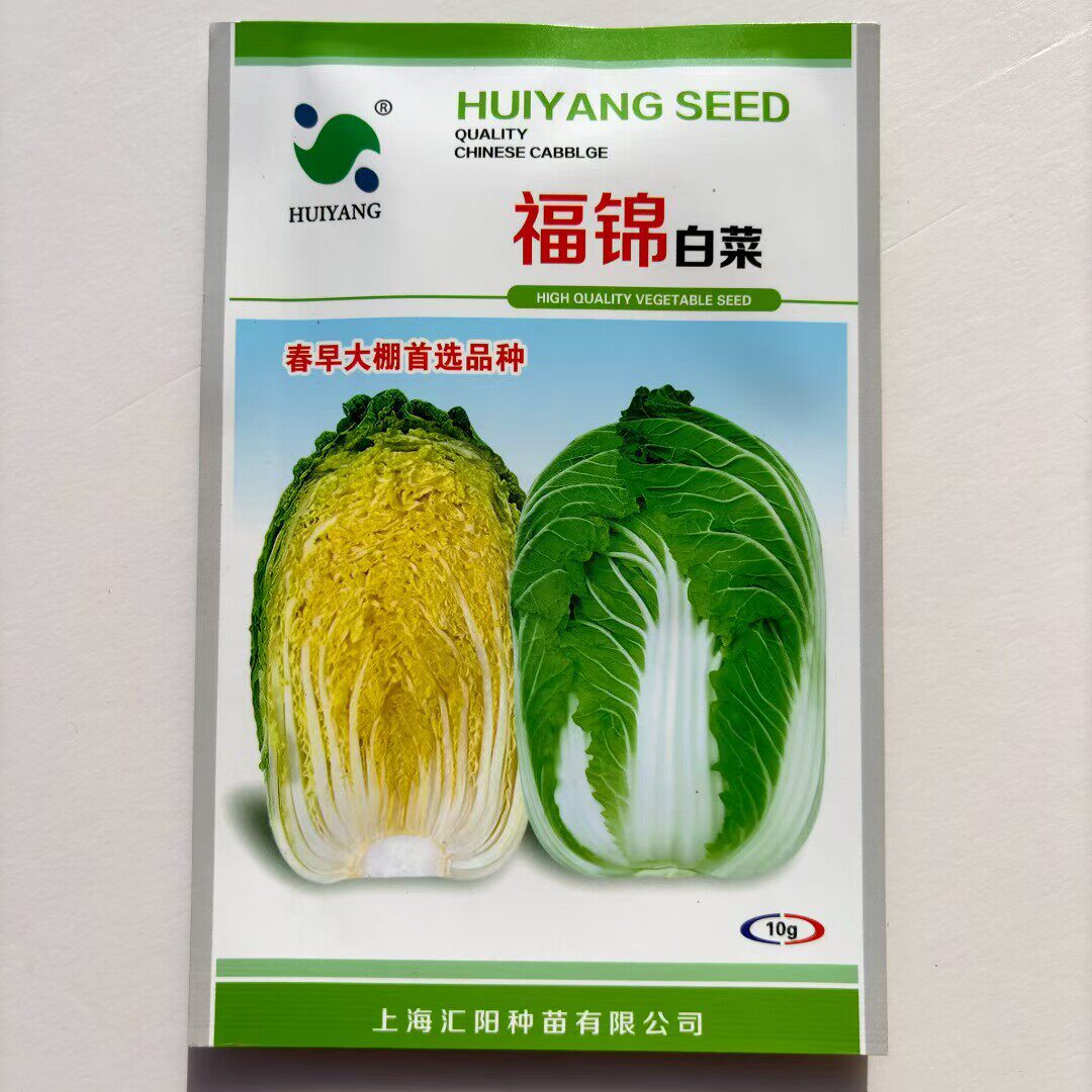 福锦白菜种子杂交耐寒春播黄芯大白菜菜农专用品种不易抽苔内叶黄