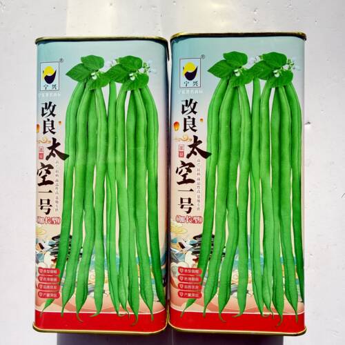 改良太空一号加长小金豆种子耐寒耐热芸豆四季豆种子春秋菜豆种子