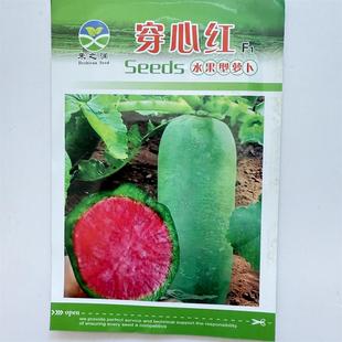 穿心红水果型萝卜种子高产抗病耐热耐寒农家菜园家庭种植蔬菜种子