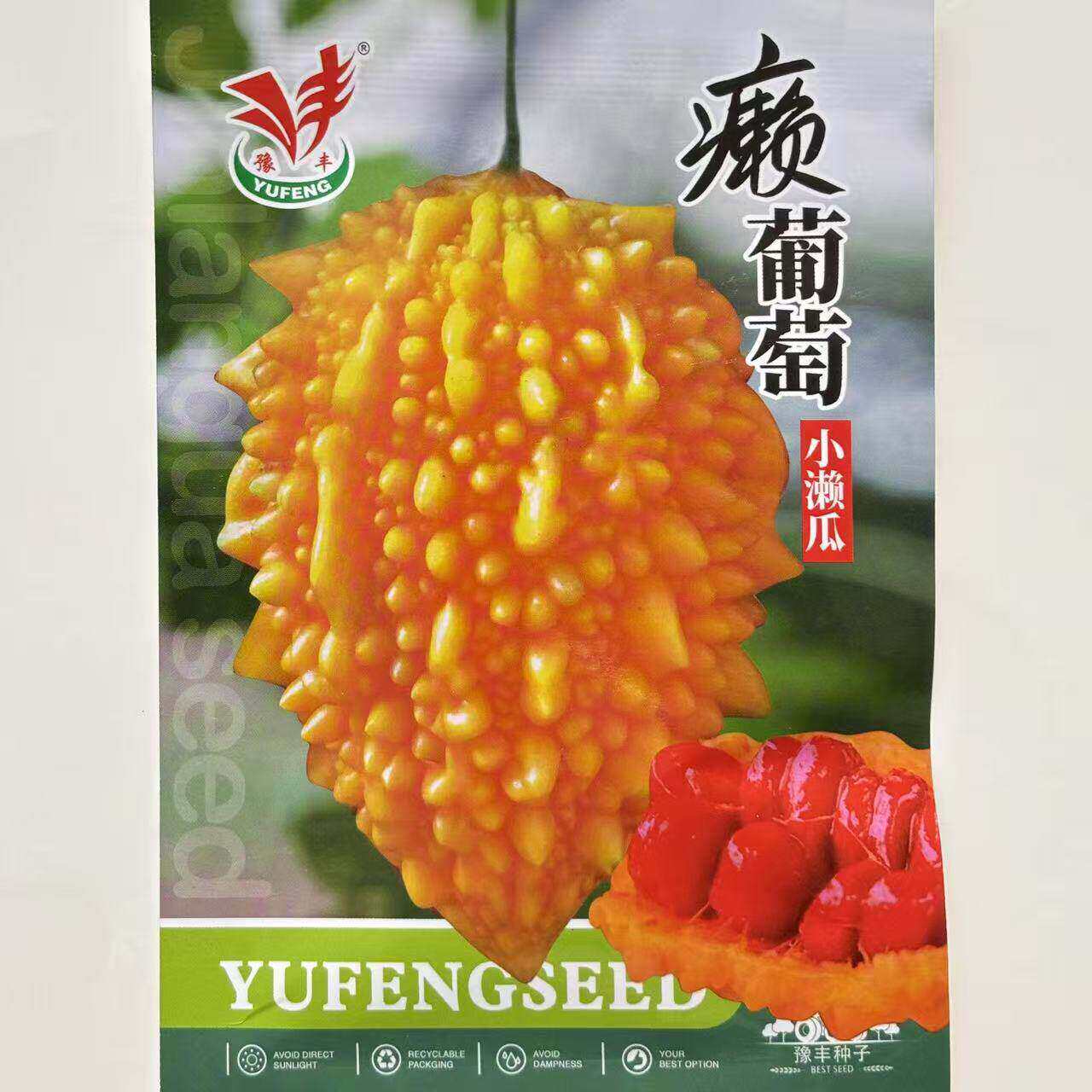 癞葡萄小癞瓜种子肉质香甜结果多农家菜园四季阳台盆栽蔬菜瓜果籽