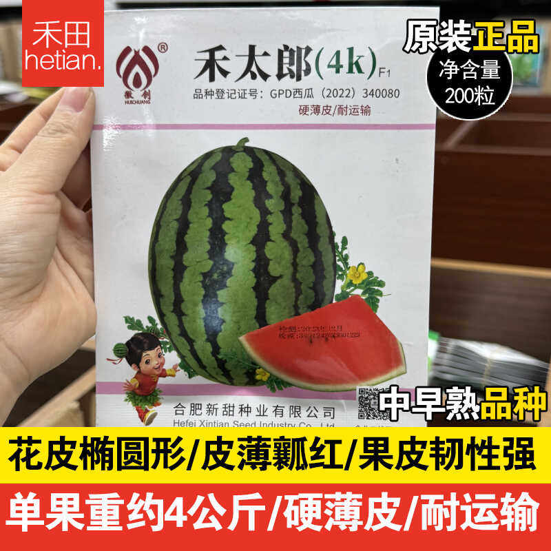 禾太郎4K西瓜种子春秋播种礼品西瓜薄皮干沙红瓤高甜度耐低温弱光