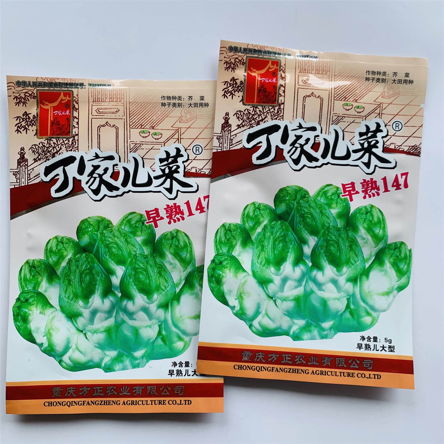 丁家儿菜早熟147大头菜种子高产抗病耐热耐寒春秋播农家菜园蔬菜