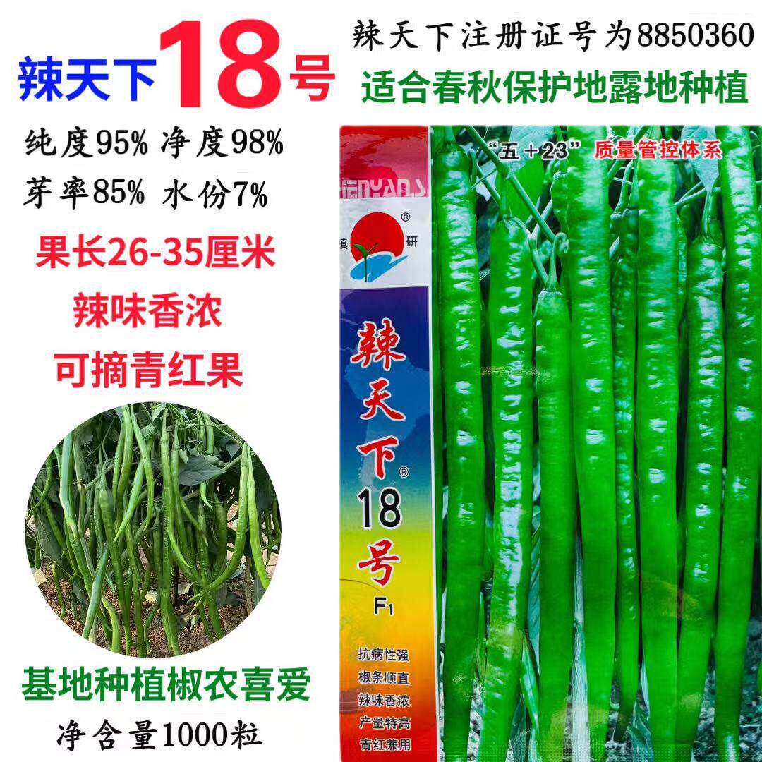 镇研辣天下18号线椒种子早熟香辣顺直油绿挂果多农家春秋播种精选