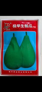 播 极早生瓠瓜种子高产抗病耐热耐寒瓜食用瓠子瓜菜葫芦籽孑春秋季