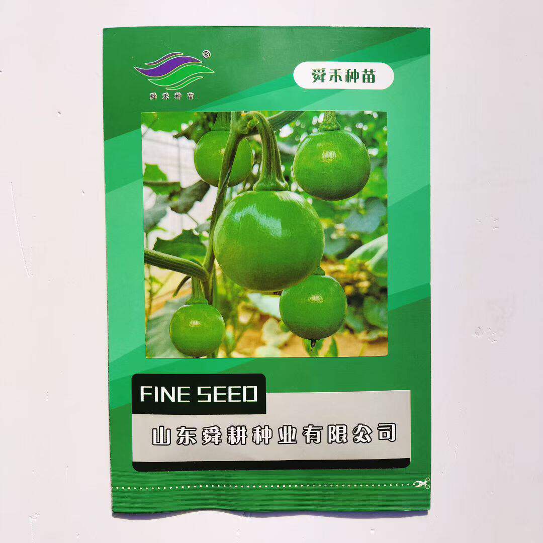 丽珠青皮王无蔓南瓜种子早熟杂交翠绿小南瓜种子圆葫芦小青瓜种子