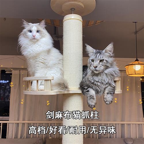 正品通天柱猫爬架豪华大型实木剑麻猫窝猫树一体顶天立地不占地飘