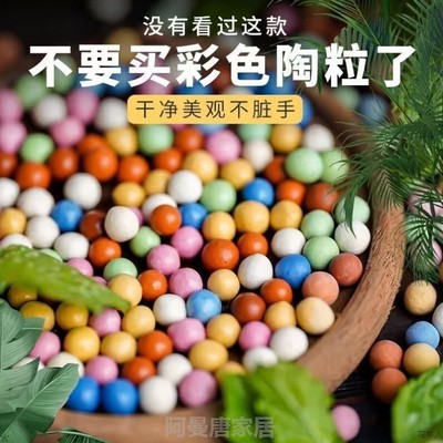 盆栽彩色植物五彩铺面养花陶粒实心球花盆石混色水培专用多肉鱼缸