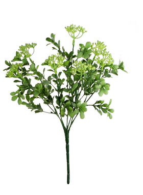 花箱盆栽米兰草满天星塑料