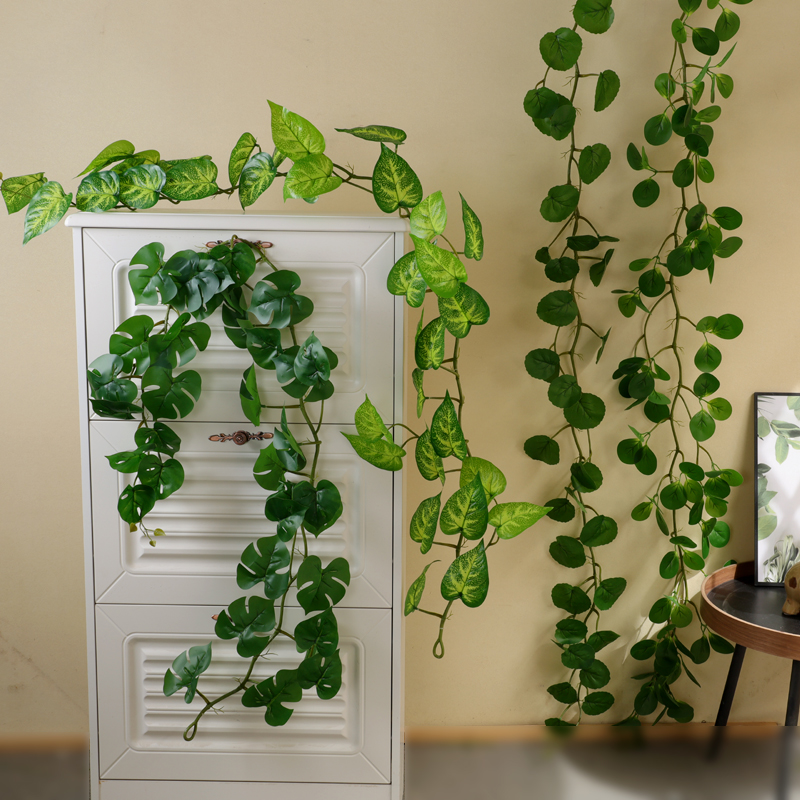 莱雅花艺藤条壁挂常青藤