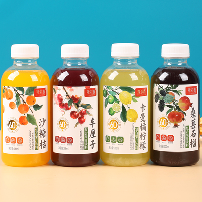 果汁饮料真果肉果粒沙糖桔