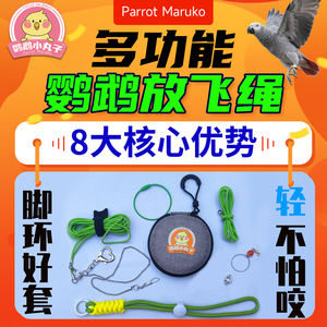 鹦鹉牵引绳鹦鹉放飞绳外出遛鸟绳