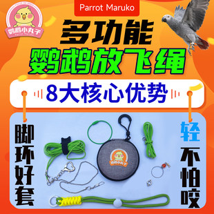 鹦鹉牵引绳鹦鹉外出放飞绳超轻便携虎皮玄凤八哥脚环脚链脖套遛鸟