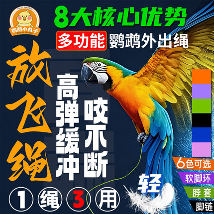 鹦鹉放飞绳超轻便携鸟用外出牵引绳虎皮玄凤牡丹软脚环脖套遛鸟绳