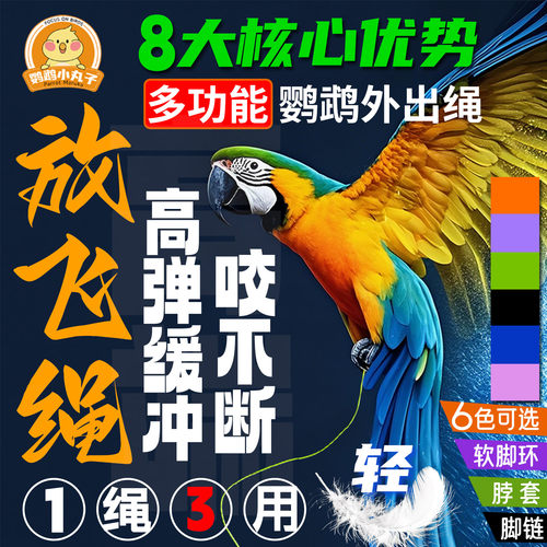 多功能鹦鹉牵引绳放飞绳遛鸟神器