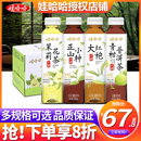 15瓶整箱0糖纯茶茉莉花茶青柑普洱乌龙茶 娃哈哈无糖茶饮料500ml