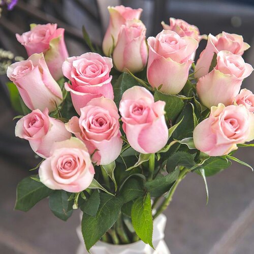 粉荔枝大苗盆栽切花玫瑰花