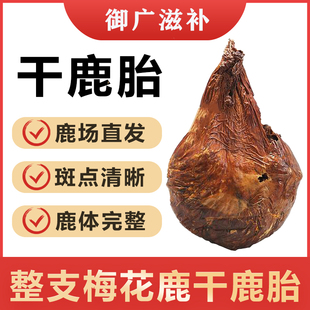 干鹿胎整枝梅花鹿鹿胎粉鹿胎盘熬胎膏滋补膏原料鹿胎打粉