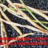 包邮 农家当季 肾形黑豆马山黑饭豆乌缸豆黑眉豆小黑豆顺丰 可当种子